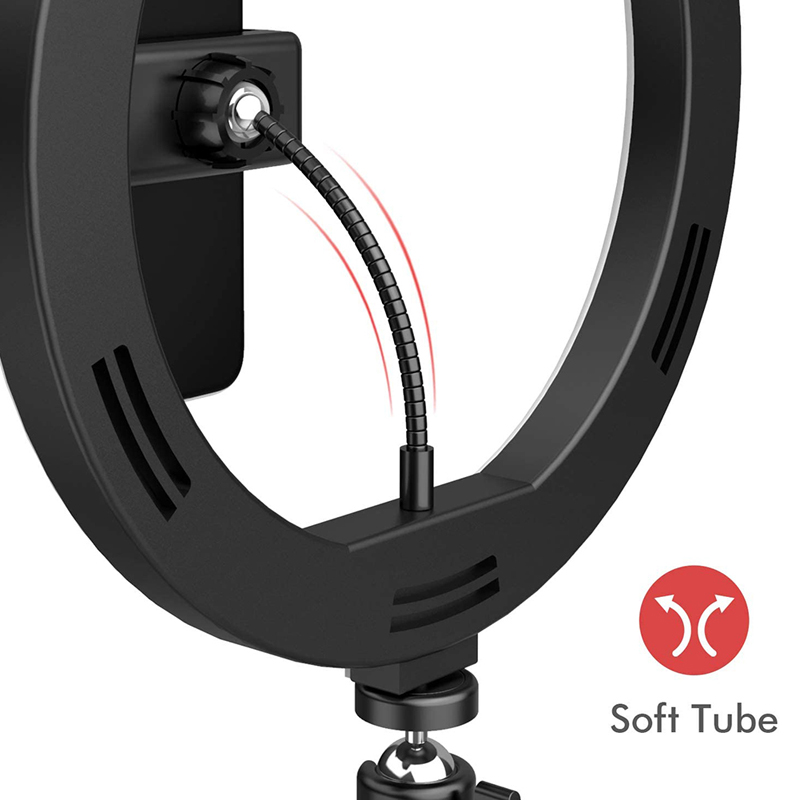 6/10/12 Inch LED Selfie Ring L - Photography Lighting Tool 评论和价格