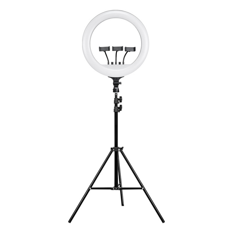 18 inch Internet celebrity liv - Photography Lighting Position 评论和价格